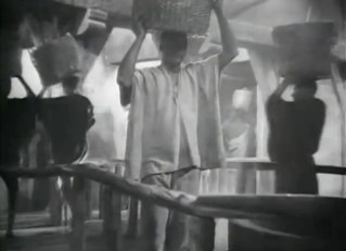 White Zombie - slaves