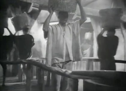 White Zombie - slaves