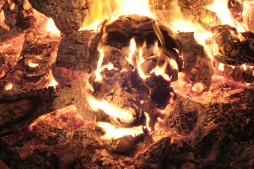 Steve Potlatch Fire 2